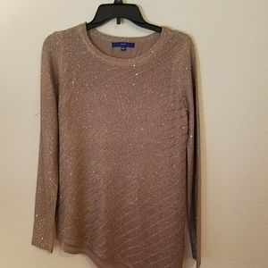 Sparkly Sweater